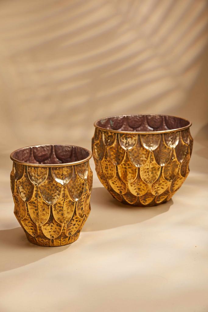 Кашпо - Кочи