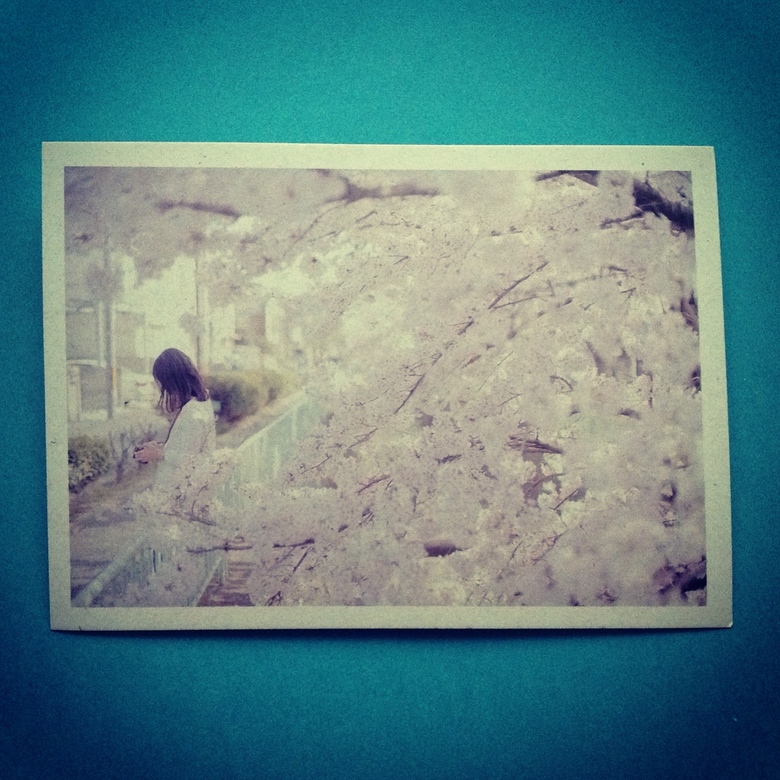 В сиреневых цветах