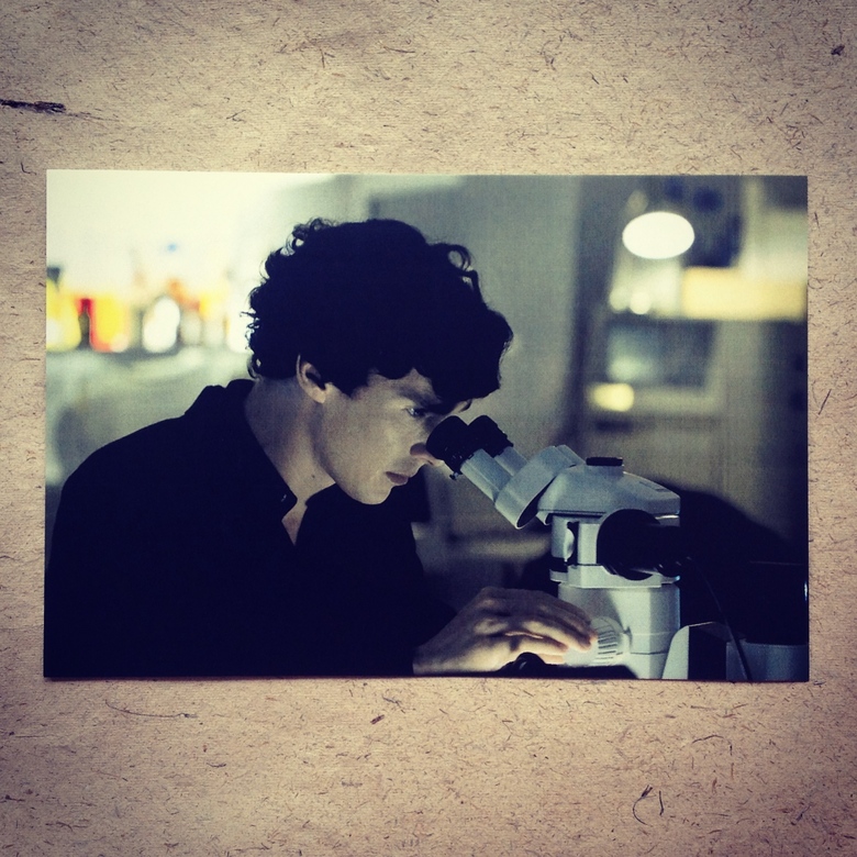 Шерлок: исследование