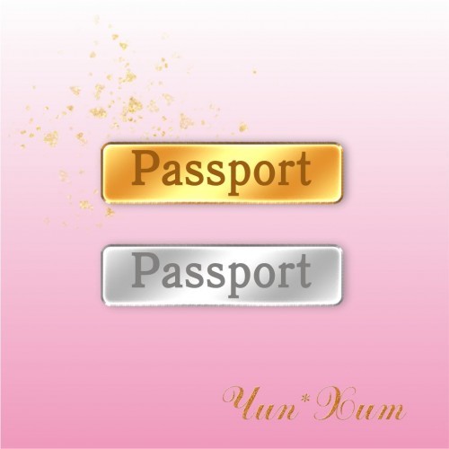 Надпись из акрила "Passport" 3D - зеркальное серебро