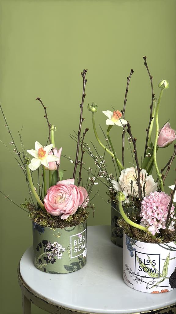 СПРИНГ МИКС БОКС