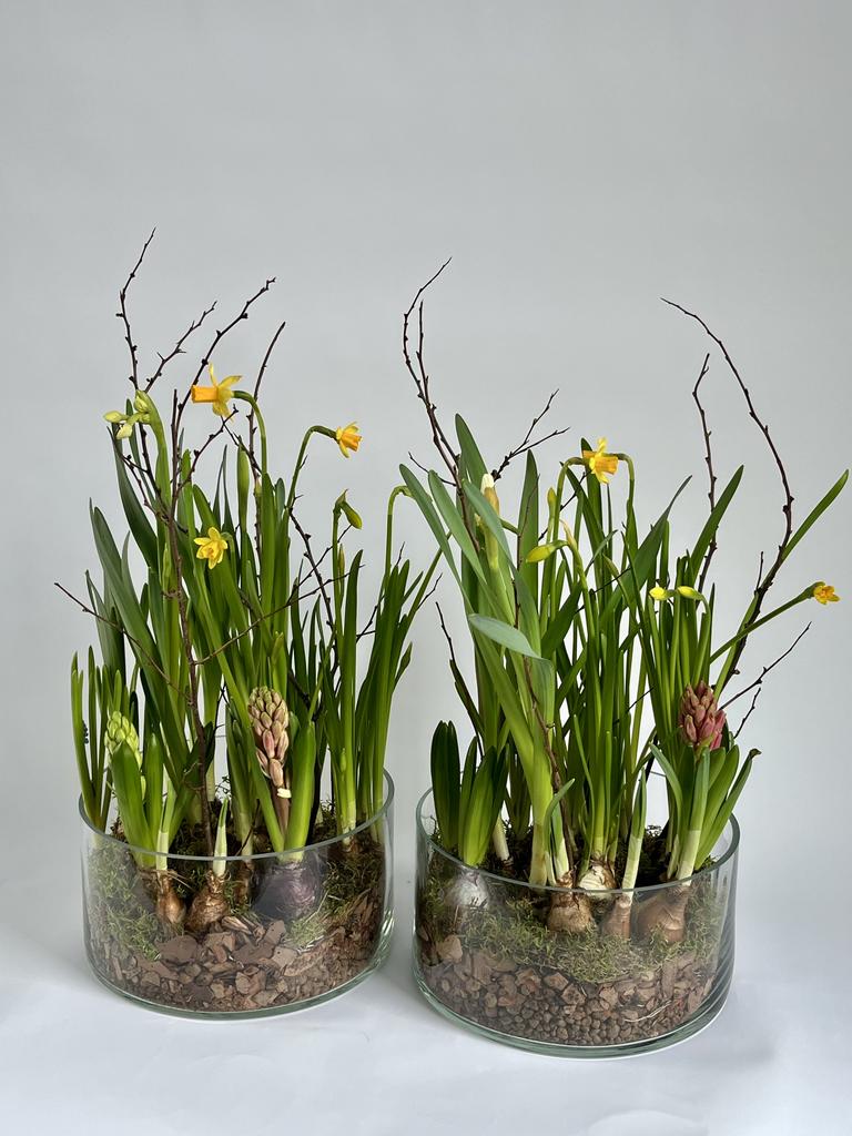 Ваза с луковичными цветами