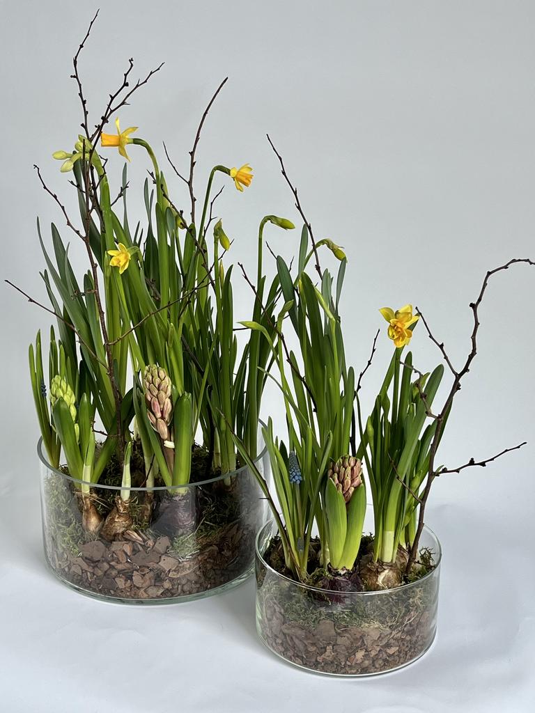 Ваза с луковичными цветами