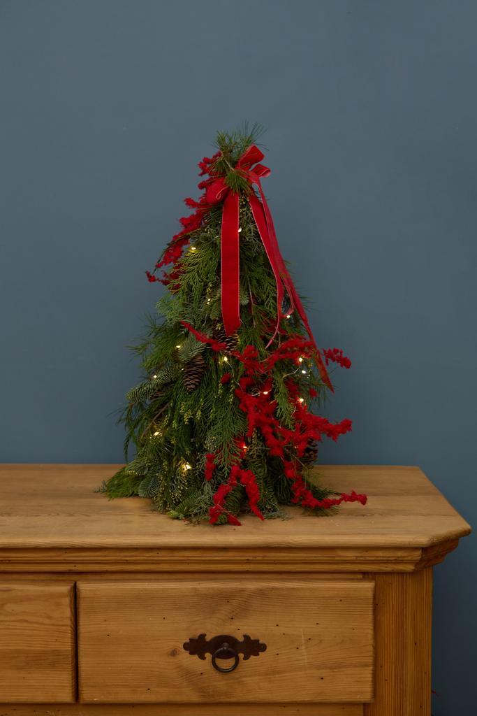 Елка красная