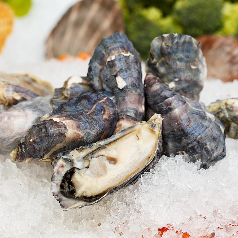 Устрица Розовая Джоли