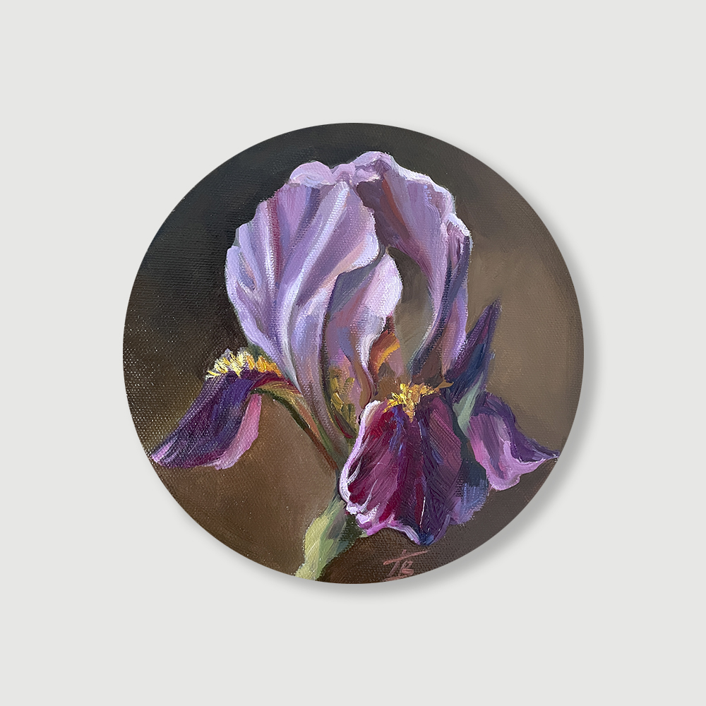 Бархатный ирис