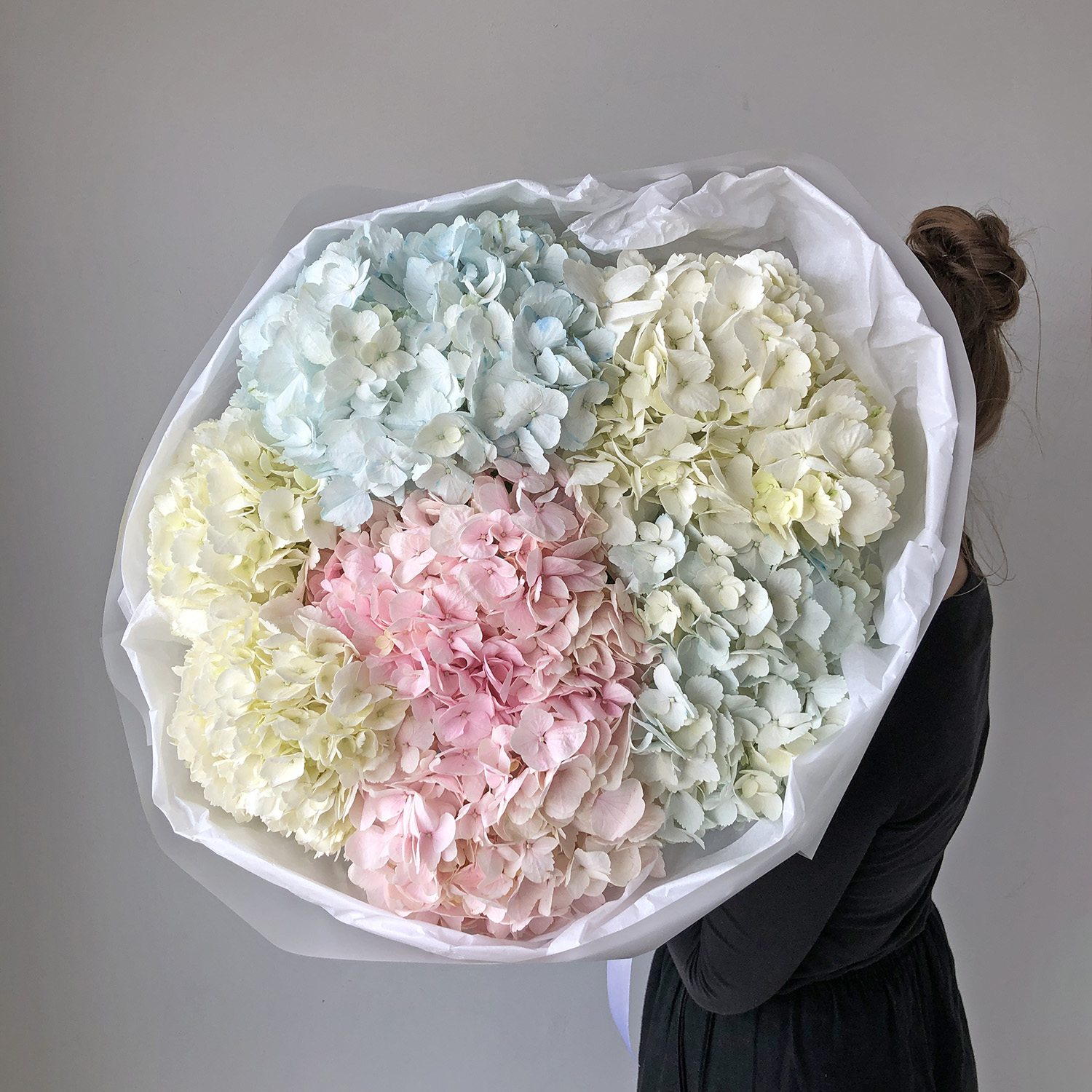 Колумбийские гортензии - микс