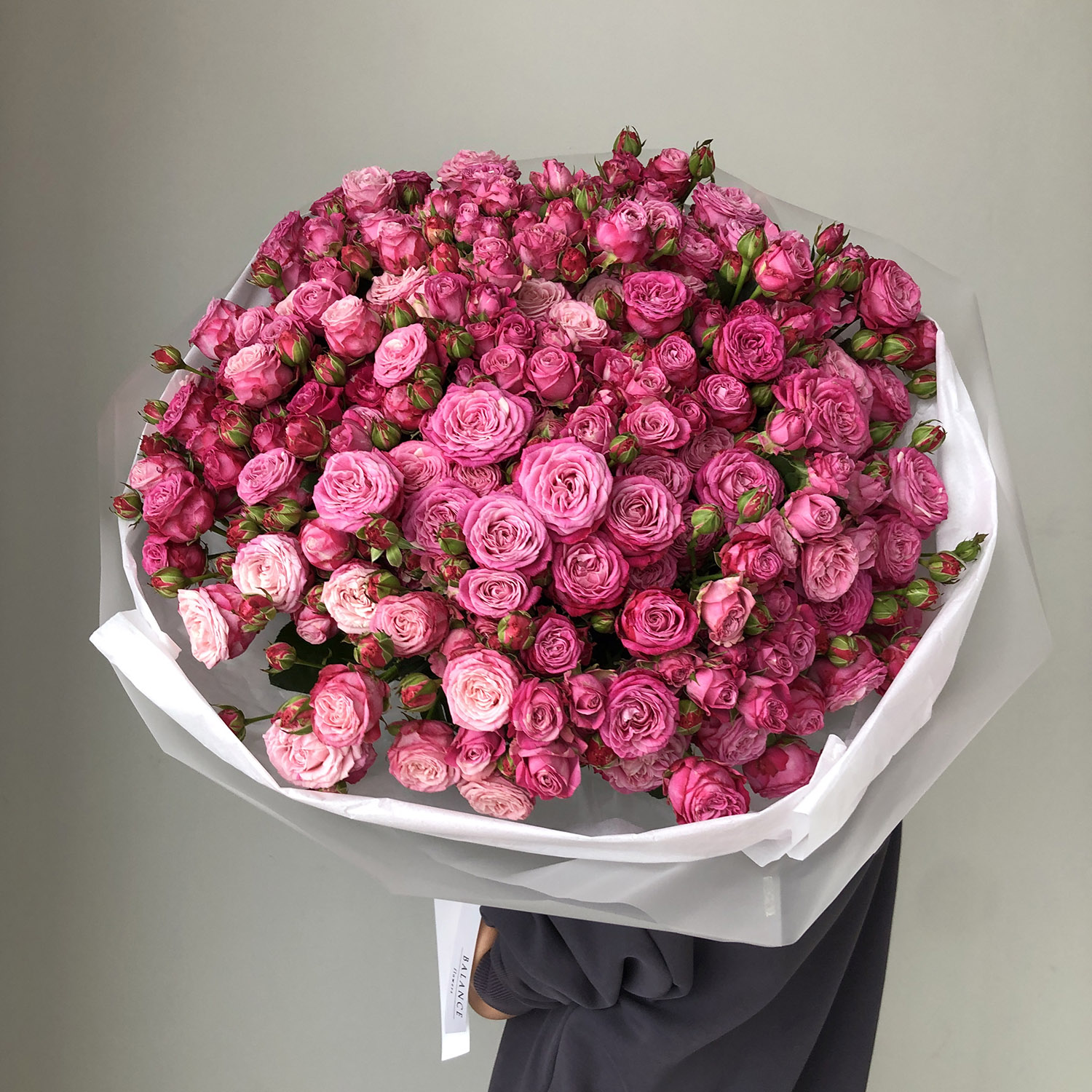 51 пионовидная кустовая роза Леди Бомбастик