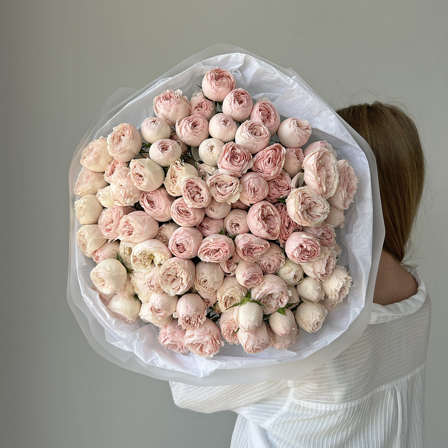 Пионовидные кустовые розы Мэнсфилд Парк