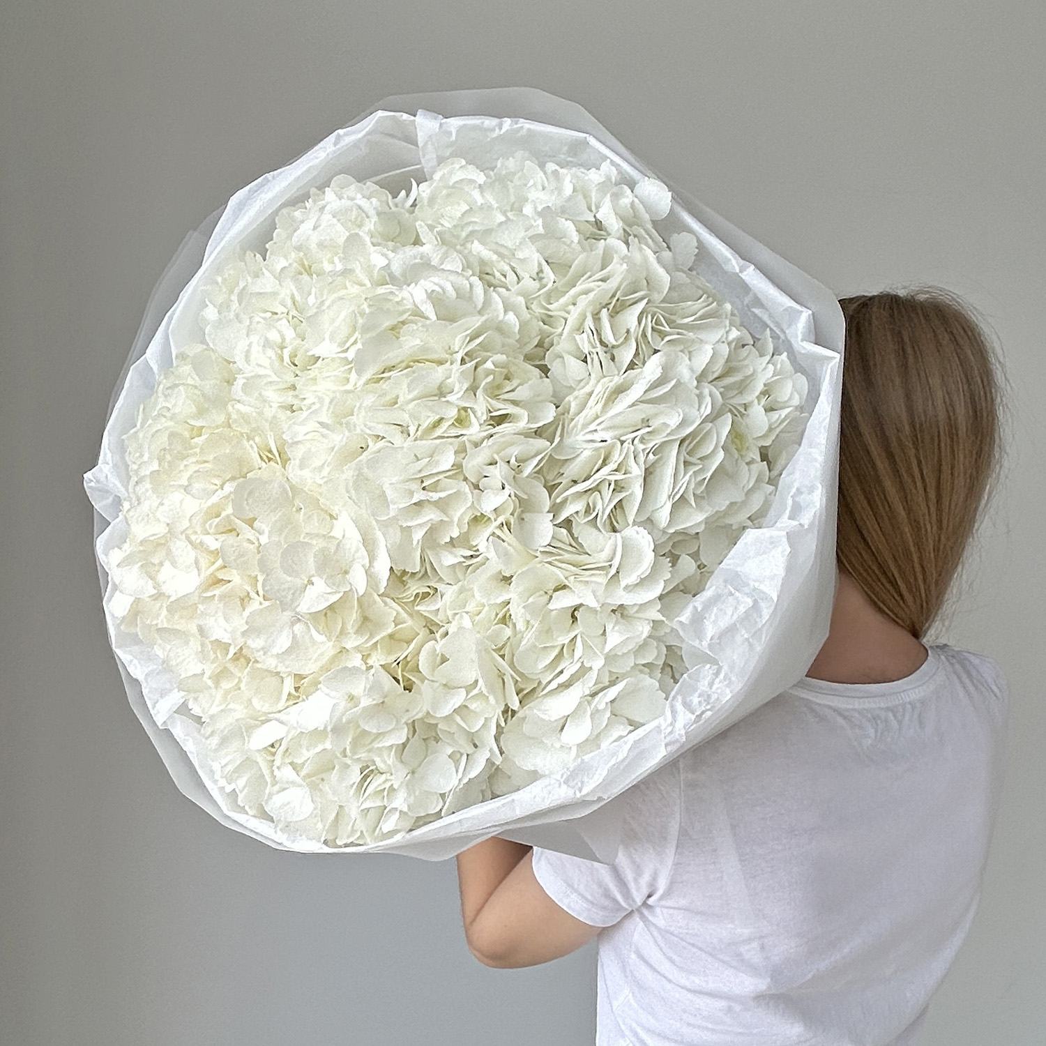 Белые Колумбийские гортензии