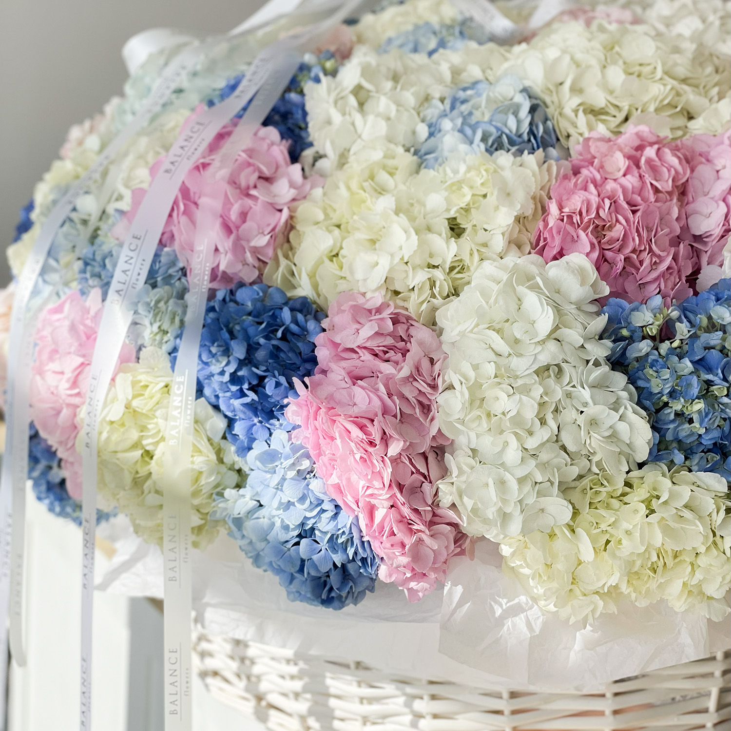 Корзина 101 Колумбийская гортензия