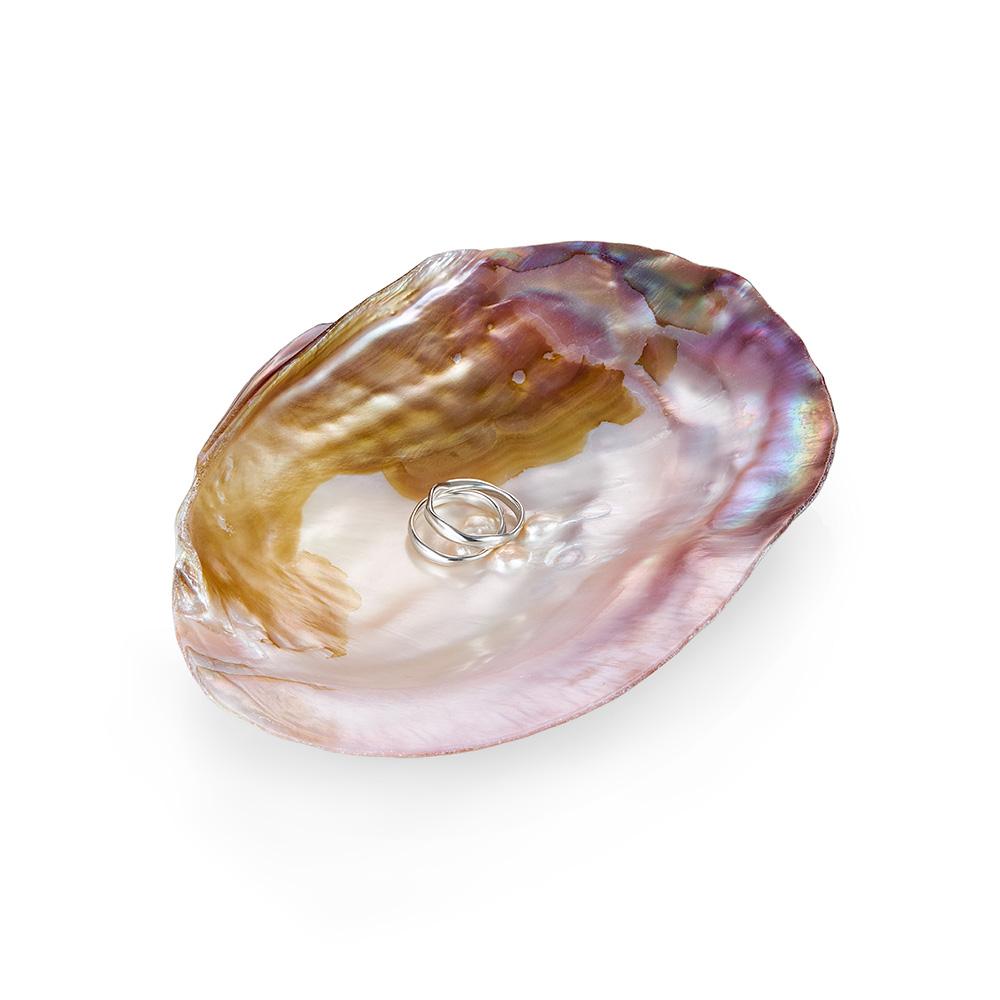 декоративная морская раковина для хранения украшений