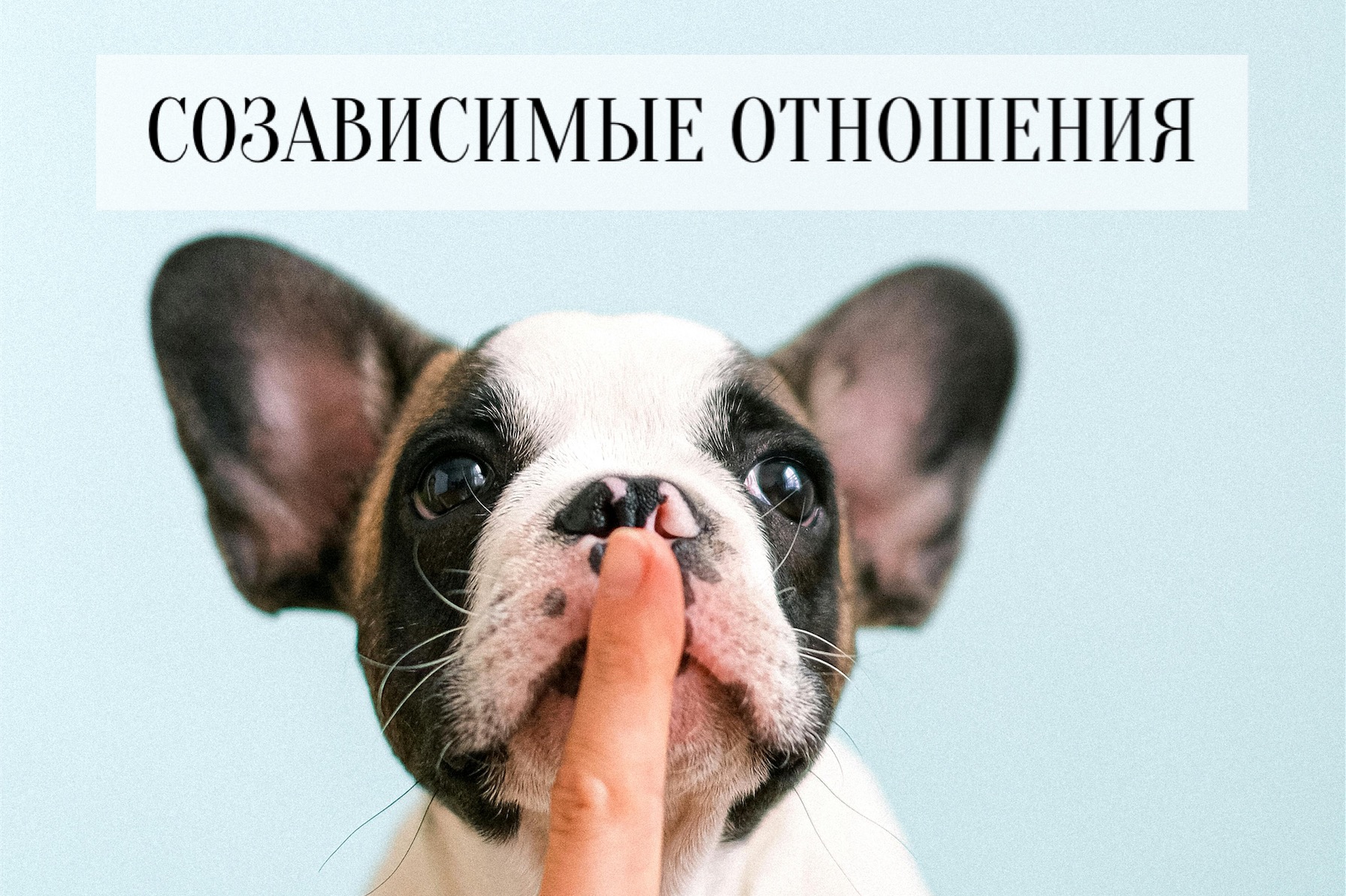 Вебинар "Созависимые отношения"