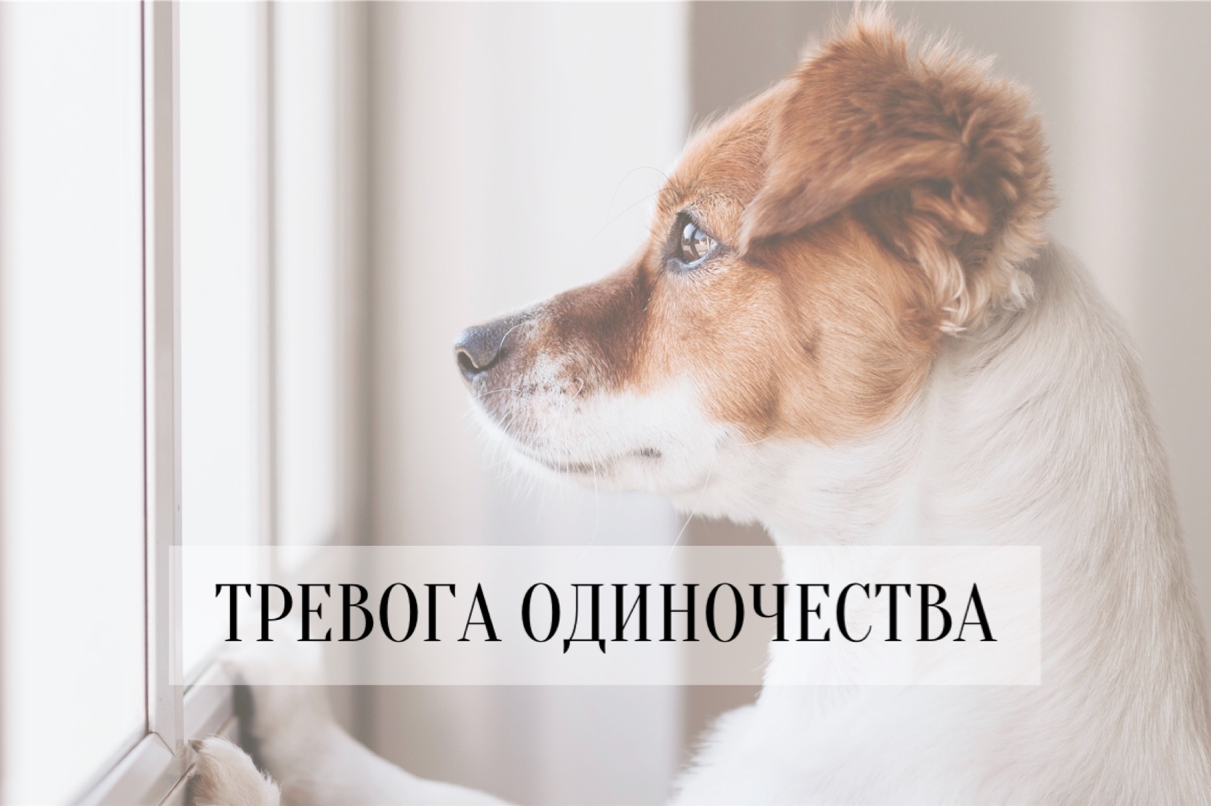 Вебинар "Тревога одиночества"