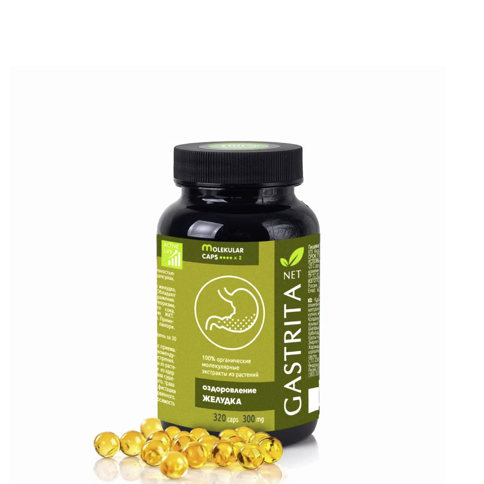 Молекулярные капсулы ГАСТРИТАнет, Сиб-Крук, 320 кап.