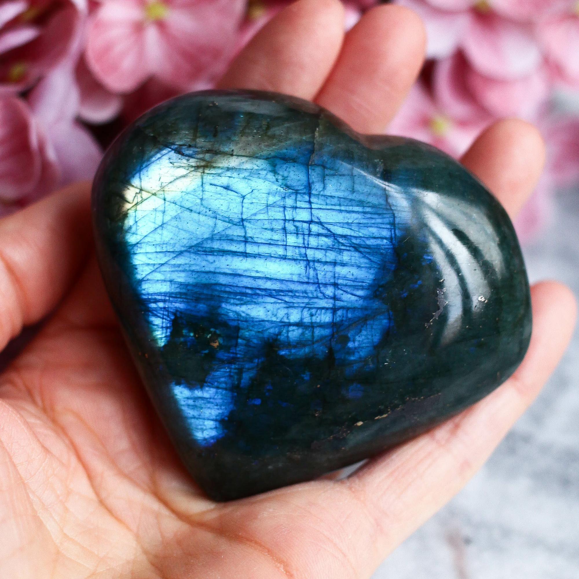 Лабрадор в форме сердца