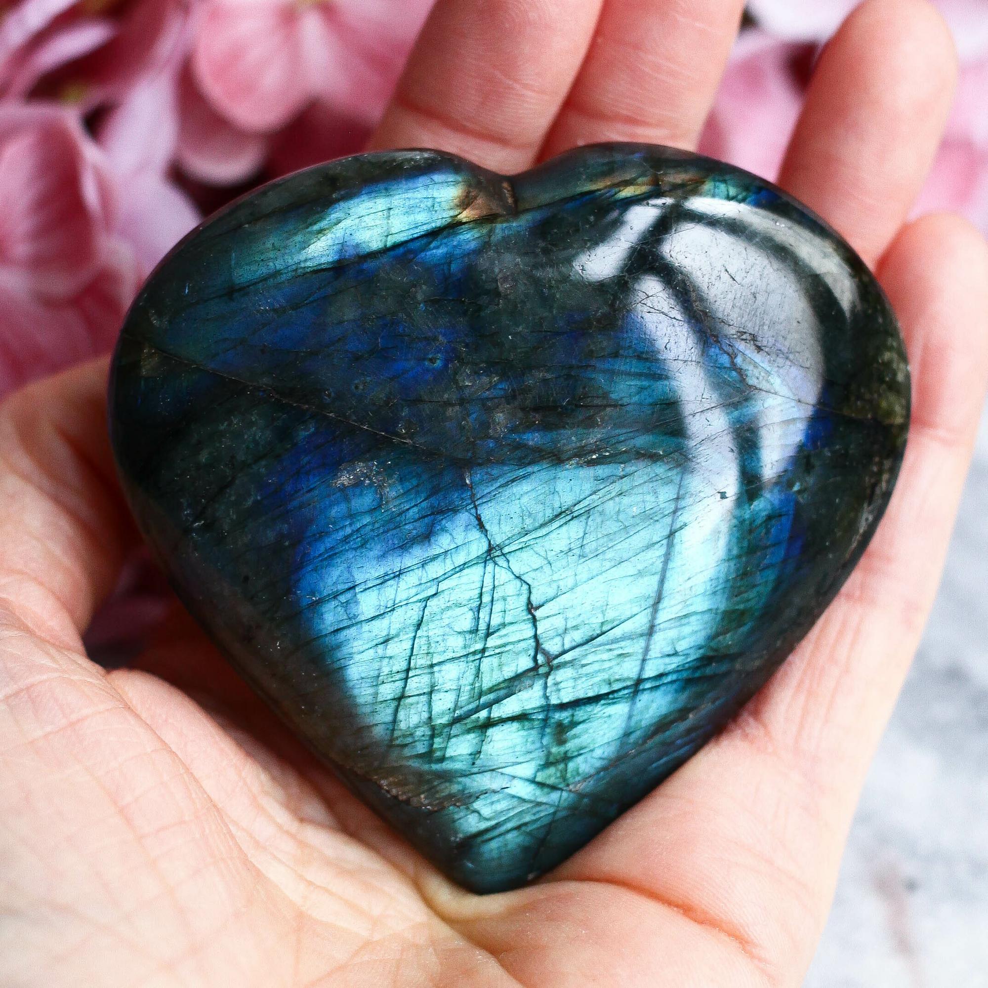 Лабрадор в форме сердца