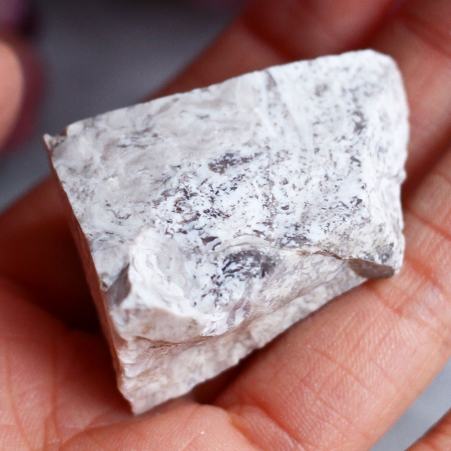 Опализированное дерево