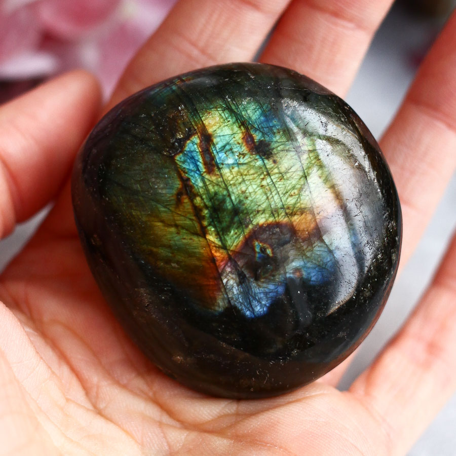 Лабрадор в форме гальки