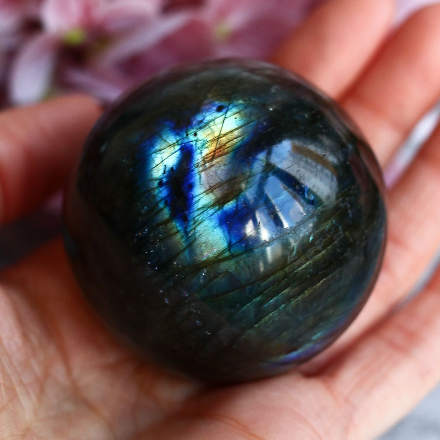 Лабрадор в форме шара