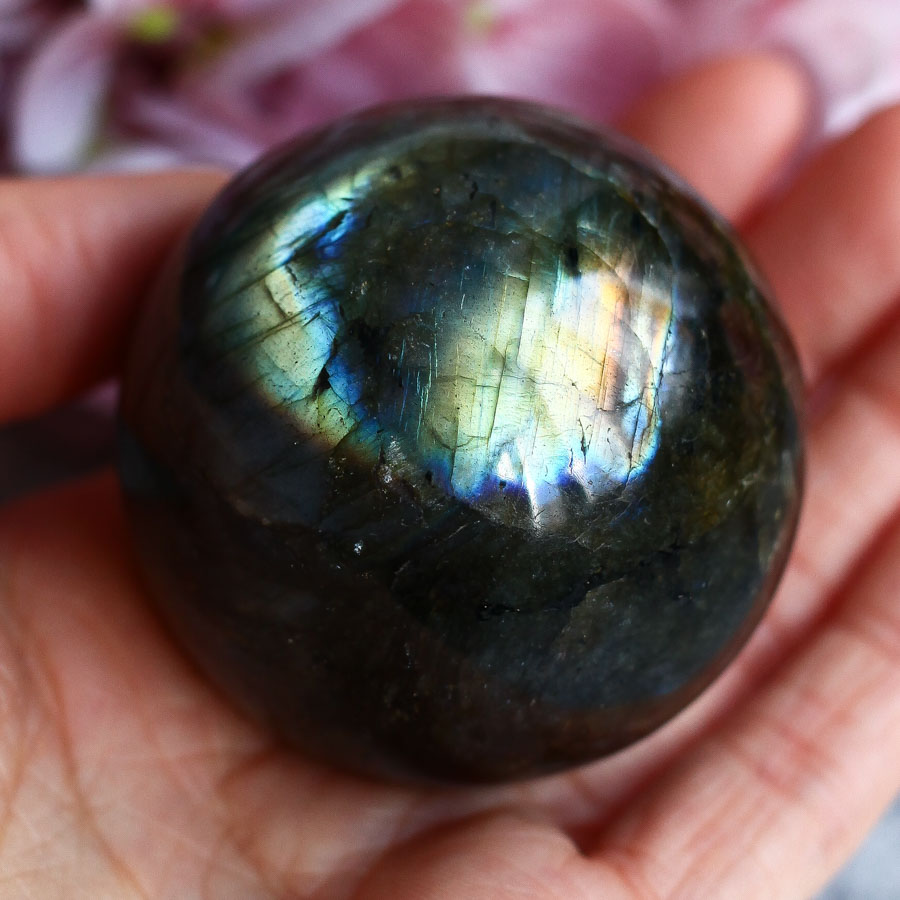 Лабрадор в форме шара