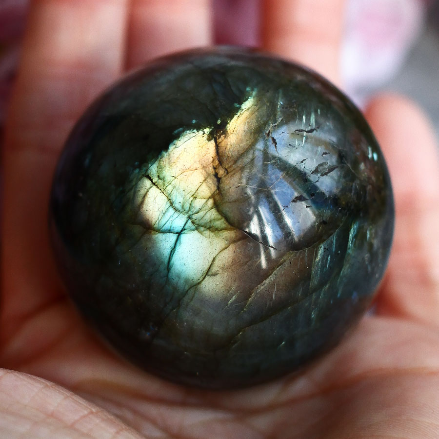 Лабрадор в форме шара