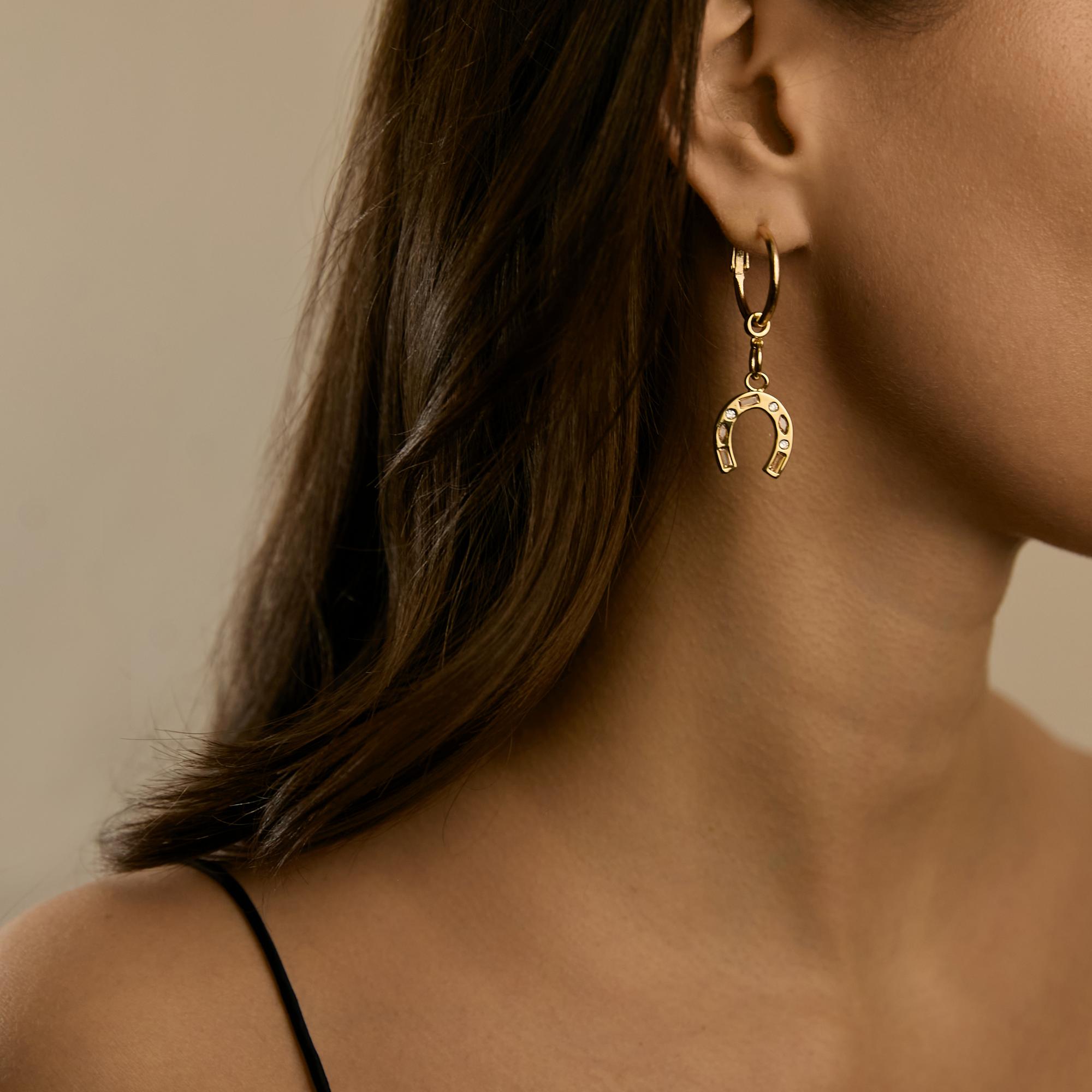 Серьги асимметричные голова лошади XS черная и подкова