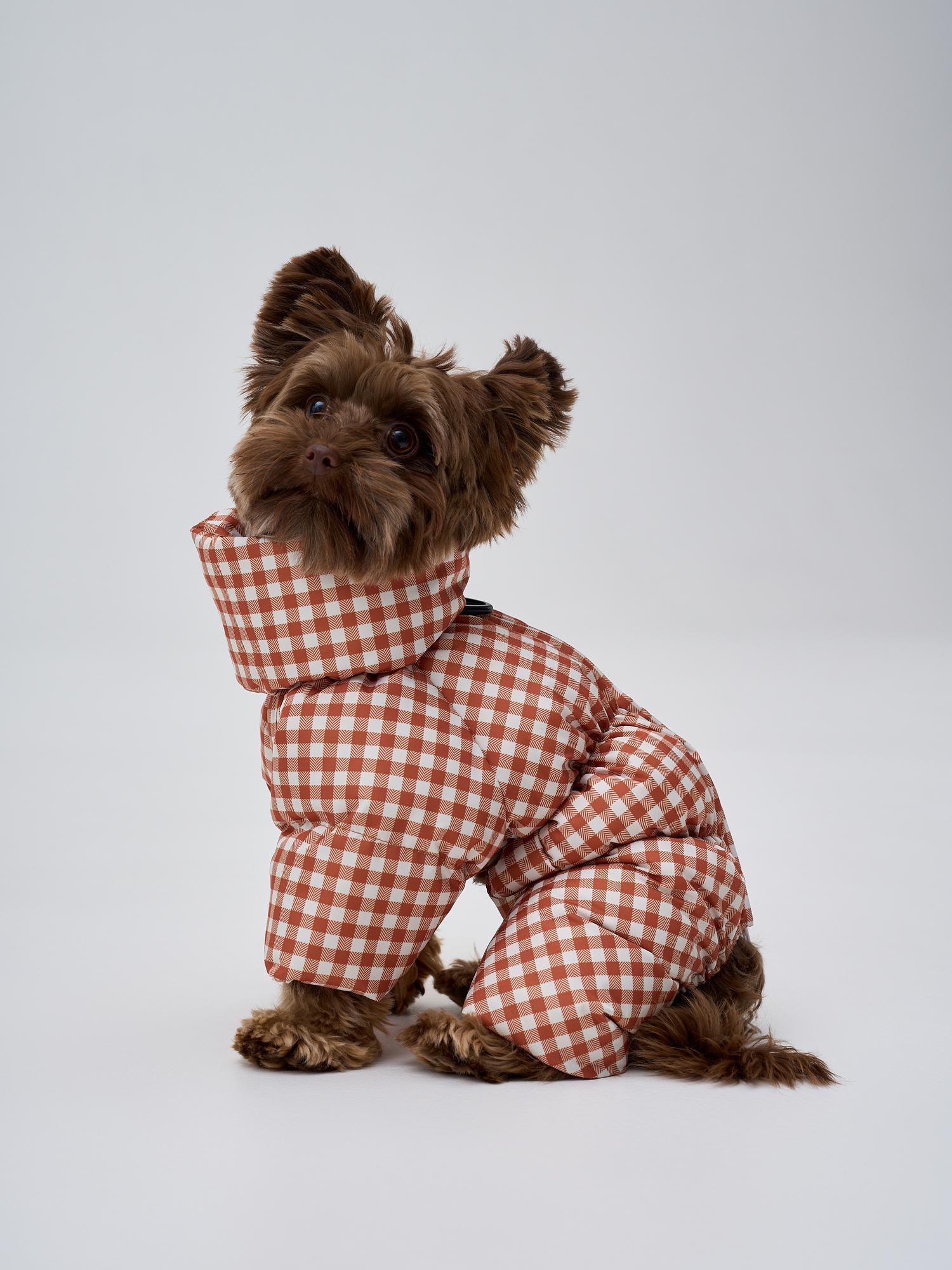 Зимний комбинезон "клетка коричневая"