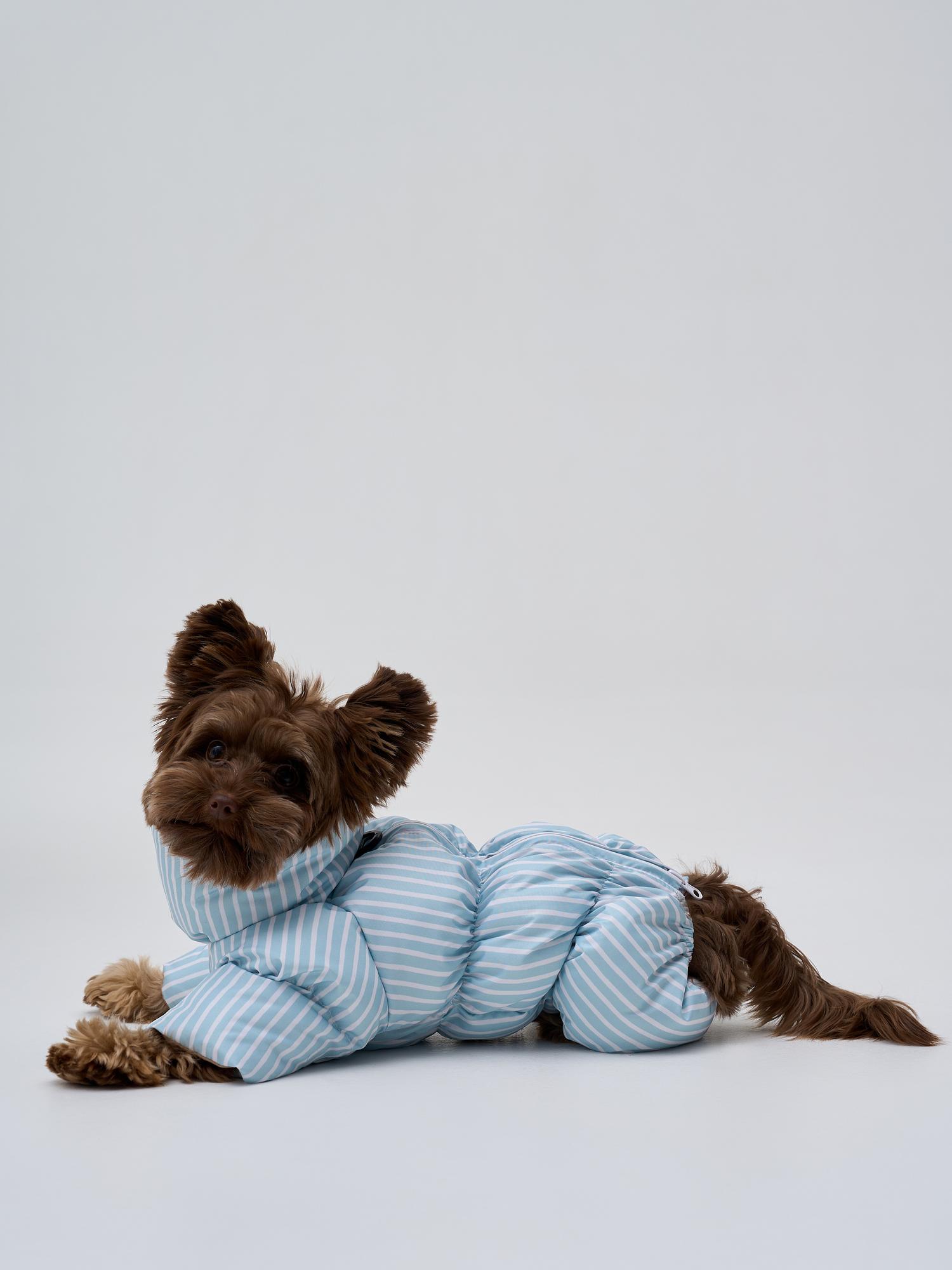 Зимний комбинезон "полоска"