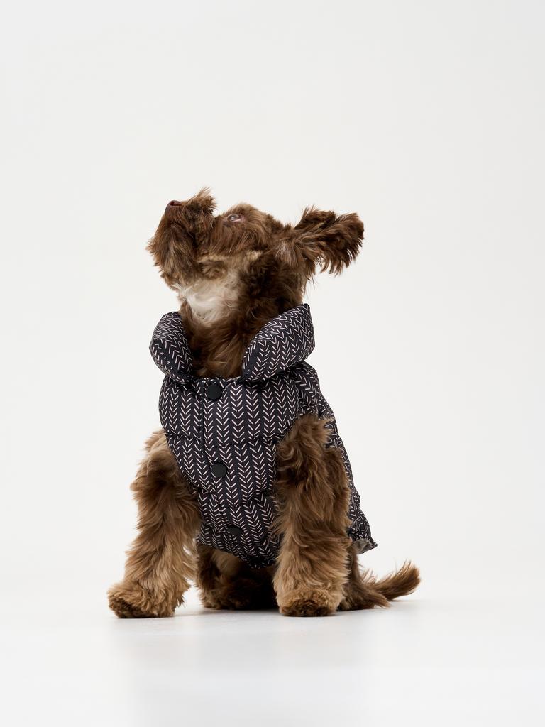 Жилет "елочка"