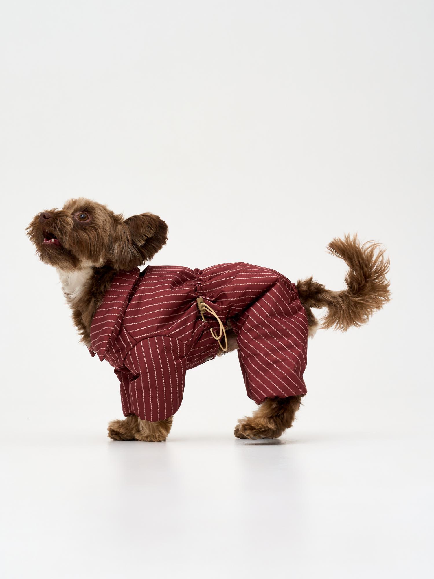 Демисезонный комбинезон "полоска костюмная"