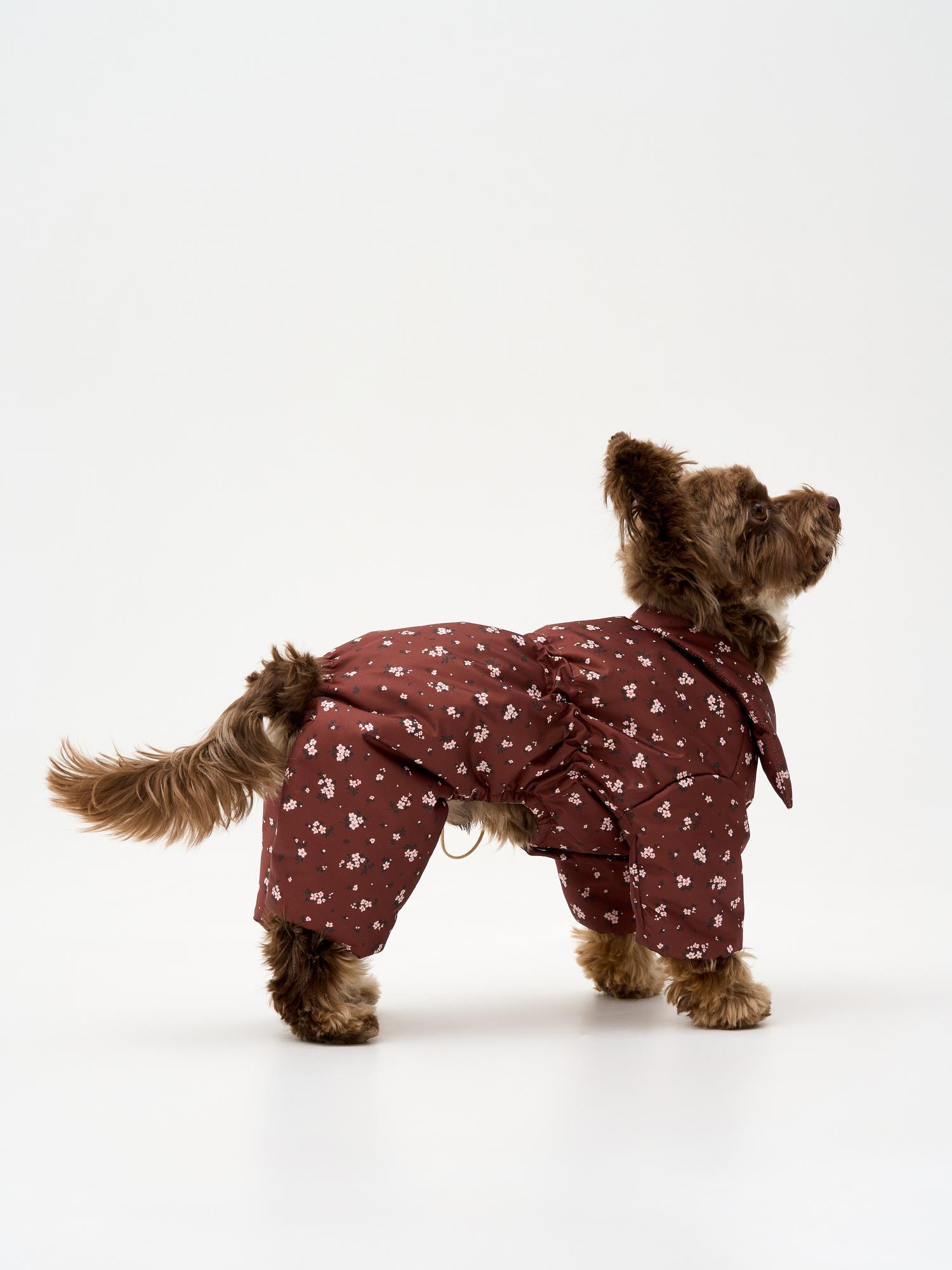 Демисезонный комбинезон "цветы на коричневом"