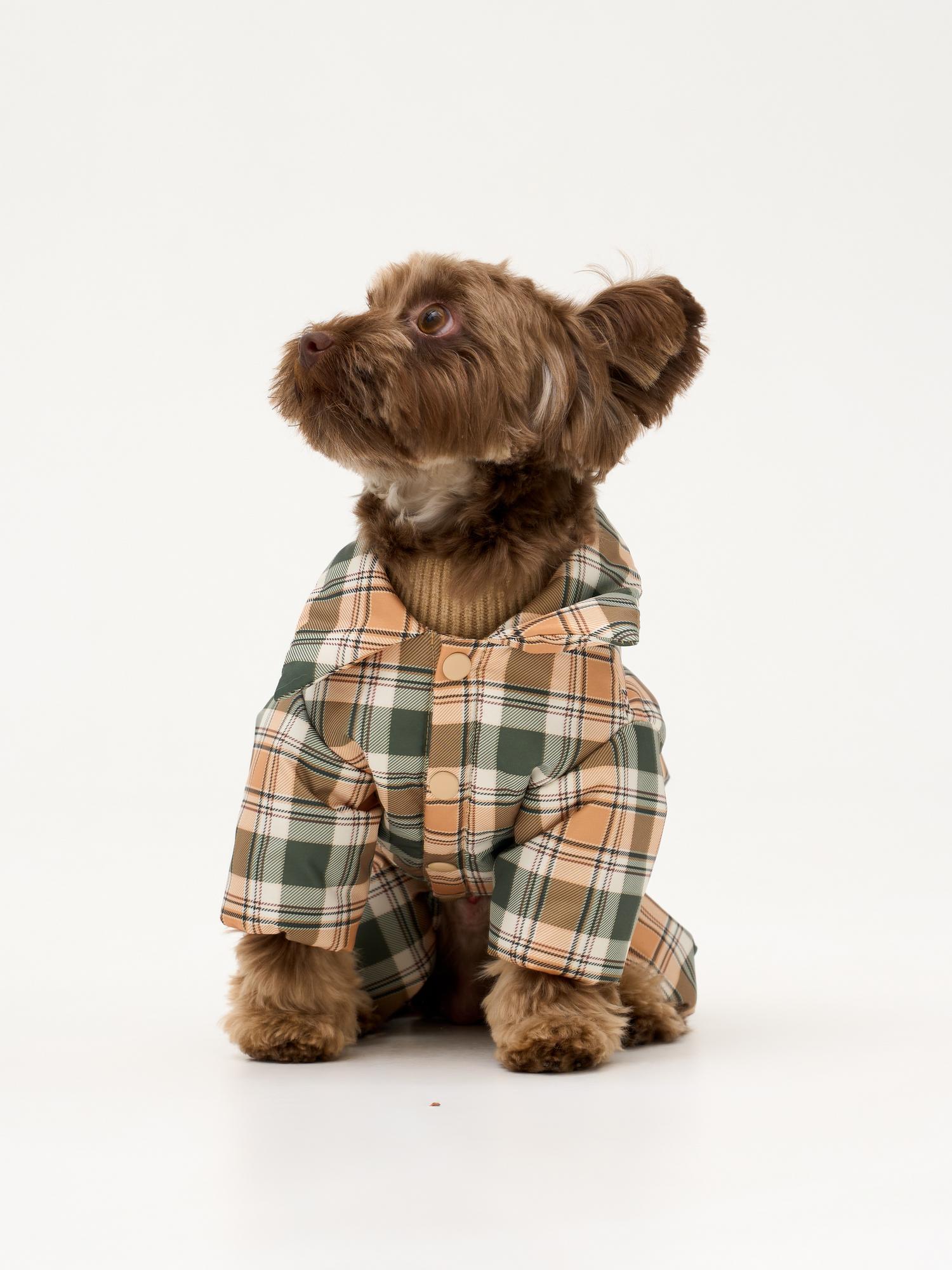 Демисезонный комбинезон "клетка зеленая"