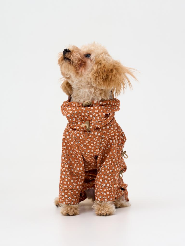 Комбинезон из софтшелла "цветочки на горчичном"