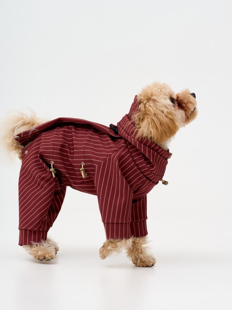 Комбинезон из софтшелла "полоска костюмная"