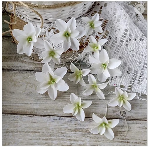 Гортензии Дуболистные, белые