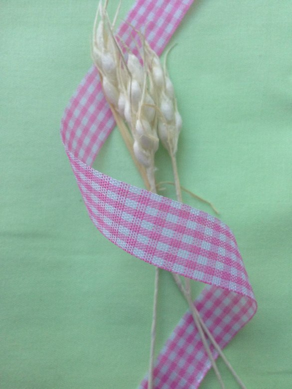 Лента в клетку розовая, (1 м)