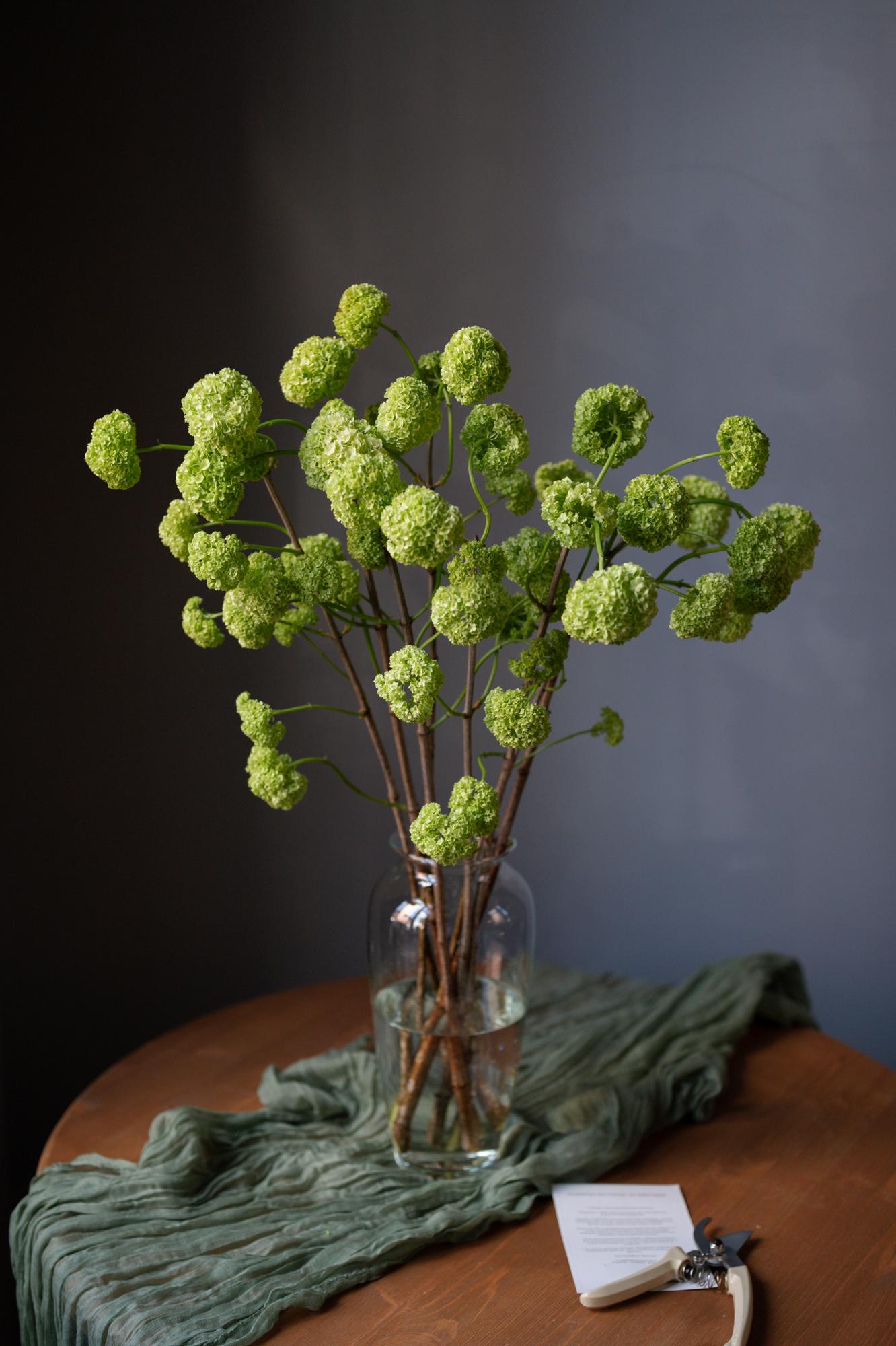 Подписка на моно-букеты