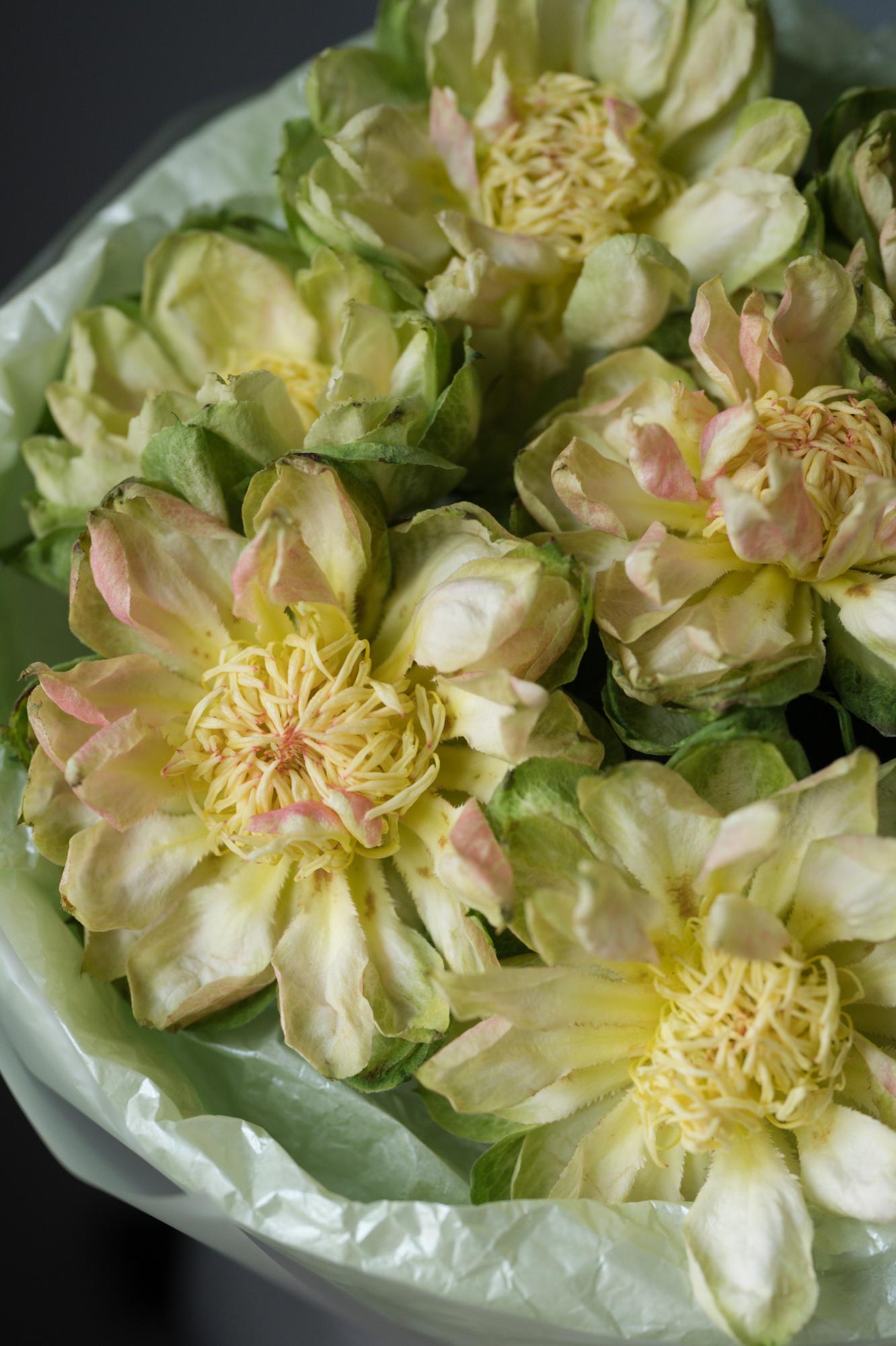 Моно-букет из роз Вегги