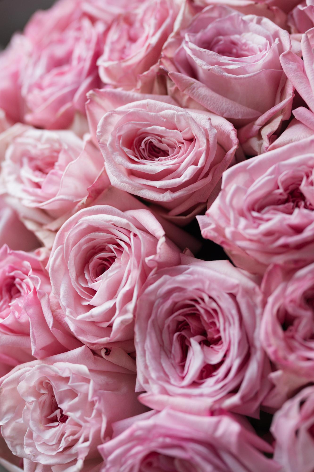 Моно-букет из роз сорта Пинк Охара