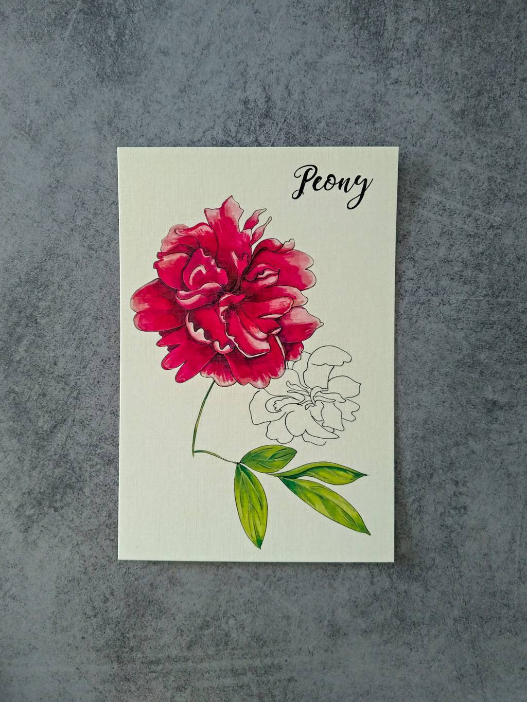 Открытка "Пион"/ Postcard "Peony"