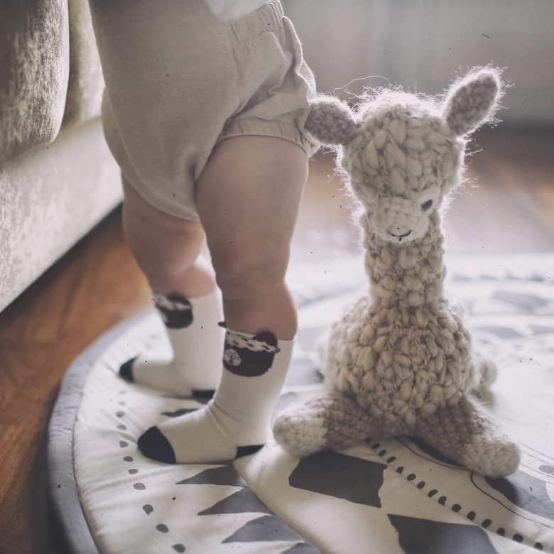 Alpaca - sand