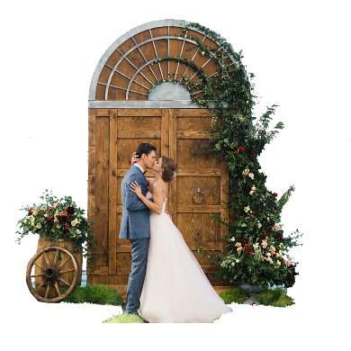 Двери со сводом