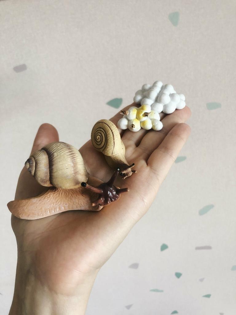 Набор фигурок "Жизненный цикл улитки"