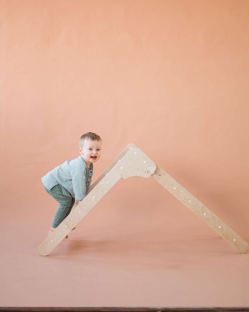 Треугольник Пиклер