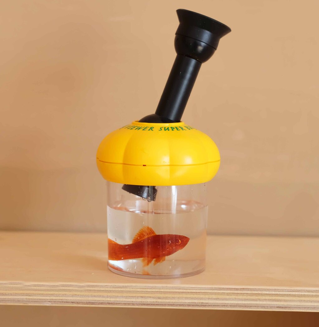 Банка с микроскопом и пинцетом