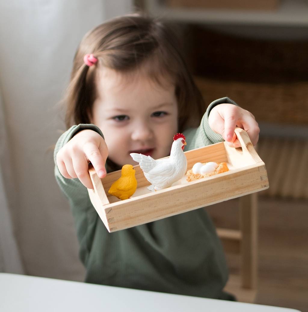 Набор фигурок "Жизненный цикл курицы"