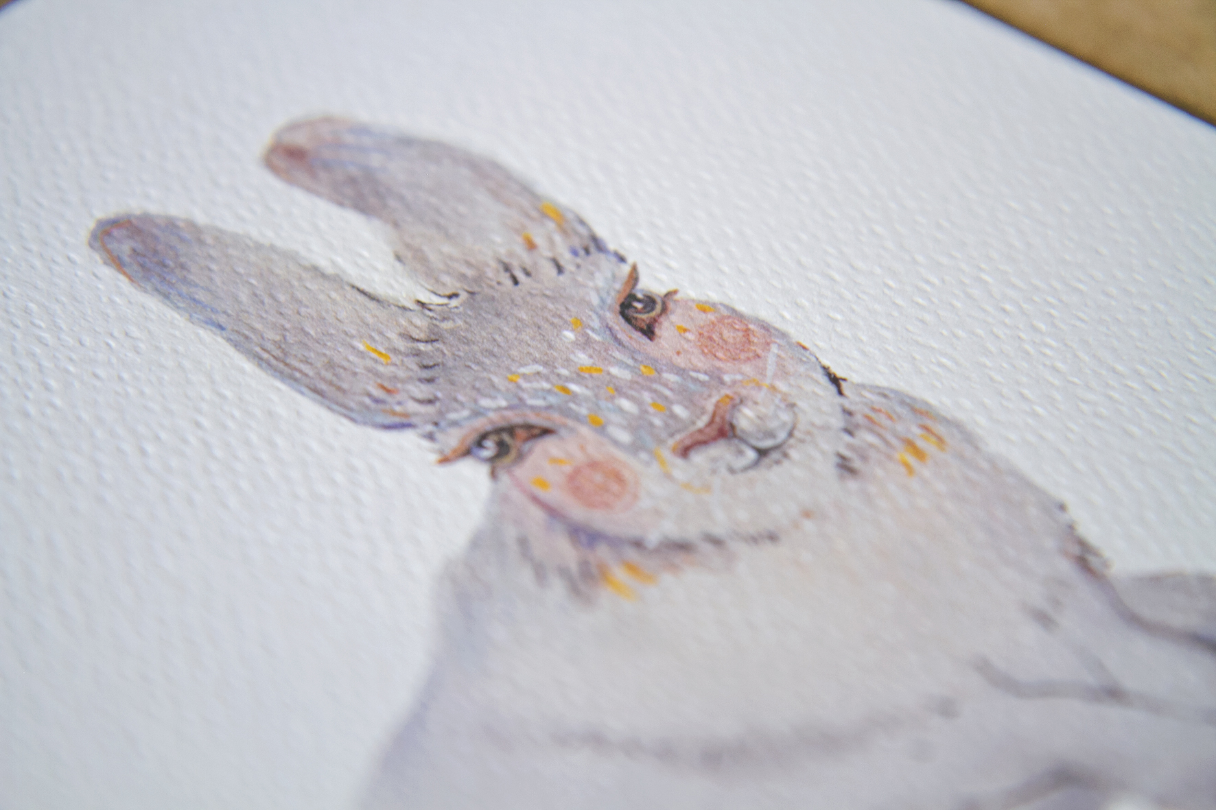 Постер "Лесной заинька"