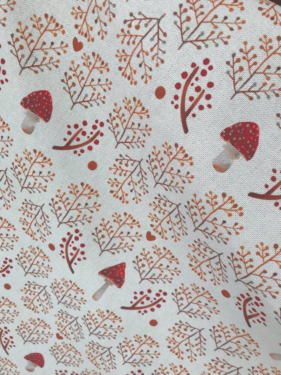 Ткань "Мухоморы в сухоцветах" / белый