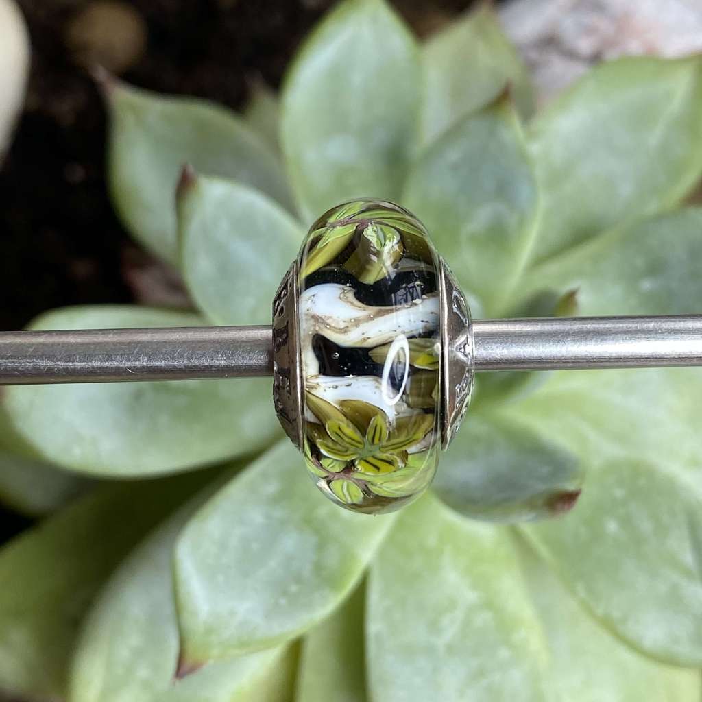 AQUARIUM  3 leaves on black